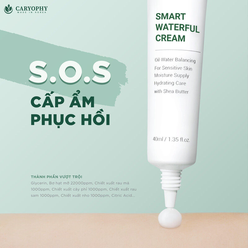 Kem Dưỡng Caryophy Smart Waterful Cream Cấp Nước và Phục Hồi Da Mụn 40ml