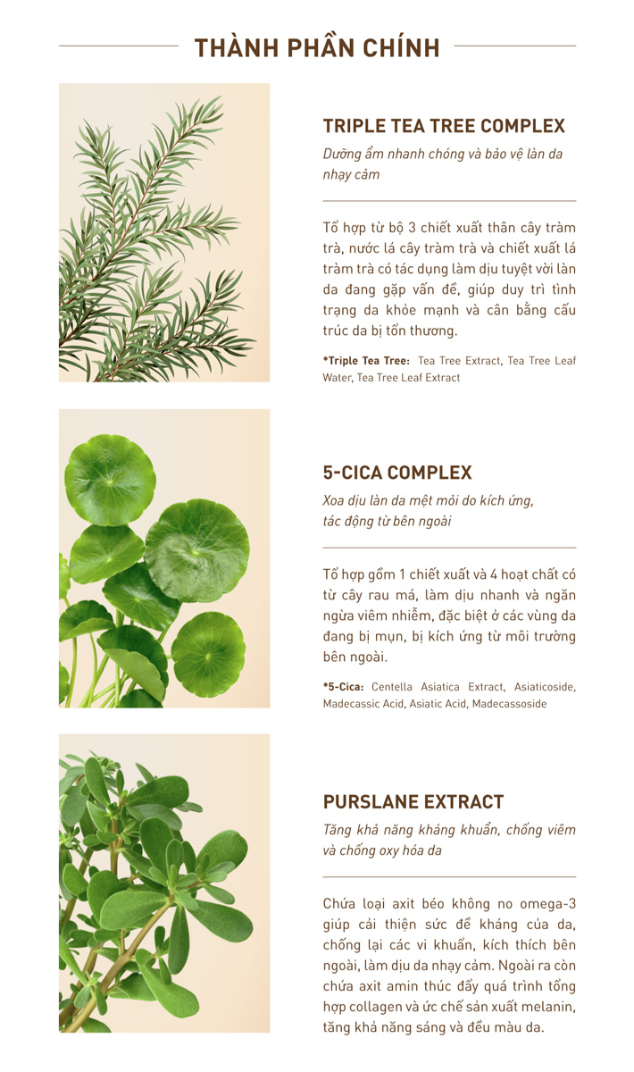 Tinh Chất S.O.B Tea Tree Serum Làm Sáng Da Và Giảm Mụn 30ml