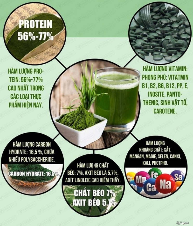 Viên Uống Spirulina Tảo Biển Xoắn Nhật 2200 Viên