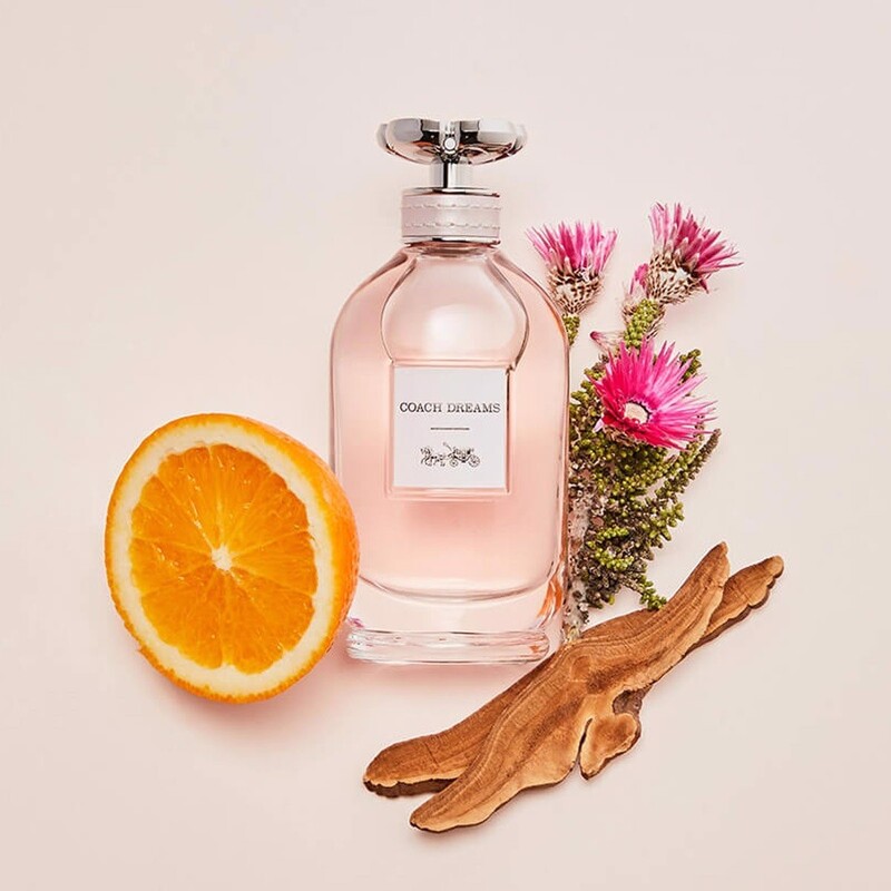 Nước Hoa Coach Dreams EDP 40ml