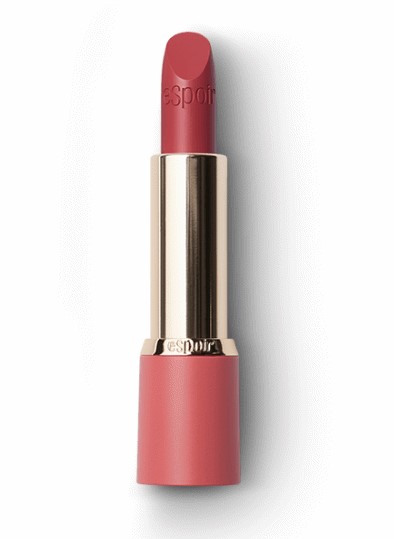 Son Thỏi Espoir Lipstick No Wear Lipstick Power Màu Rs102 Plot 3g