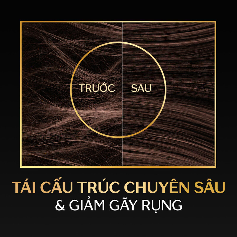 Dầu Gội Tsubaki Phục Hồi Hư Tổn Nặng & Giảm Gãy Rụng 490ml