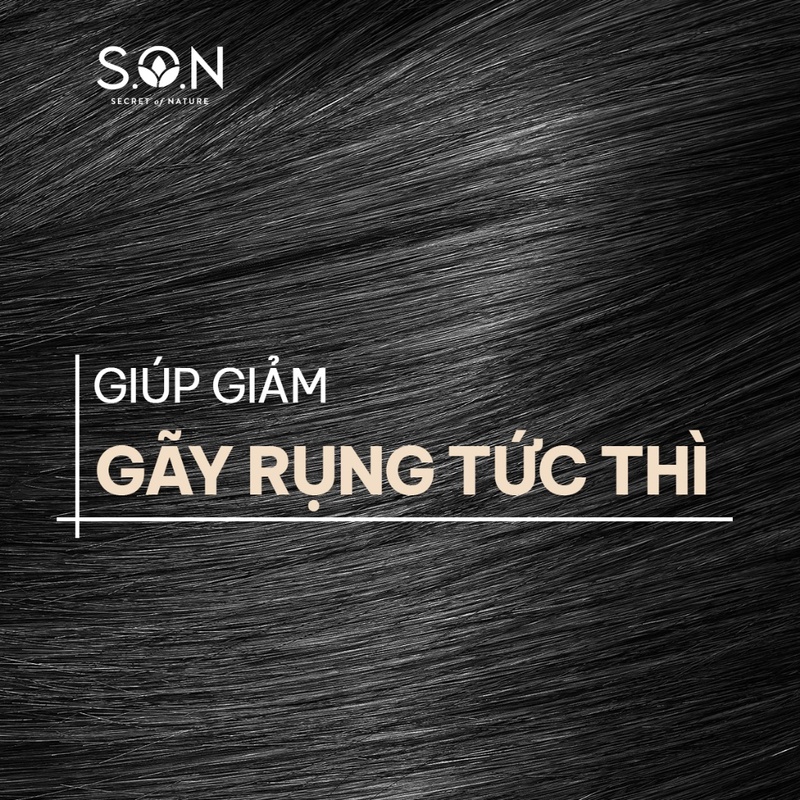 Dầu Xả S.O.N Bưởi & Nha Đam Giảm Gãy Tóc Làm Mượt Tóc 250ml