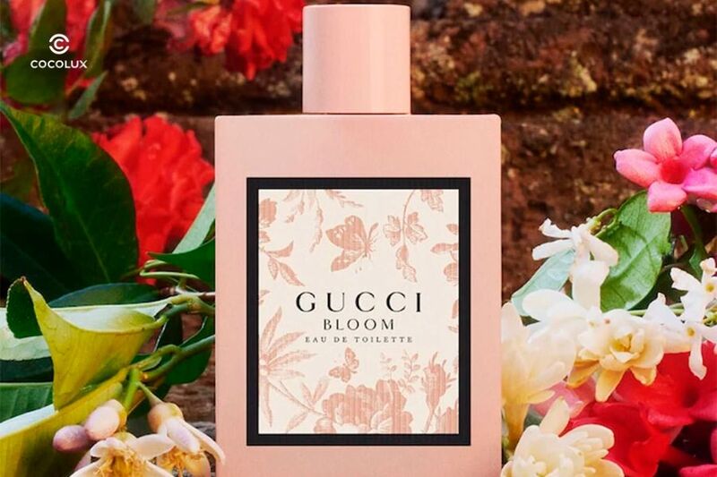 Cocolux - Địa chỉ mua Nước Hoa Gucci Bloom EDT chính hãng, giá tốt