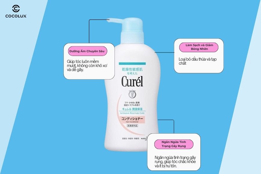 Thành phần của dầu xả Curel cấp ẩm chuyên sâu