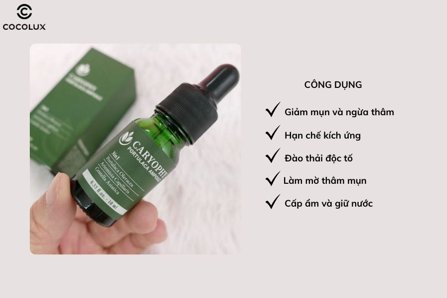 C&ocirc;ng dụng&nbsp;của tinh chất Caryophy Portulaca Ampoule 3in1