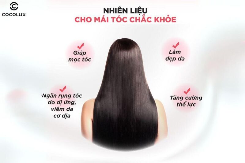 Công dụng chính của viên uống DHC Biotin ngăn rụng tóc