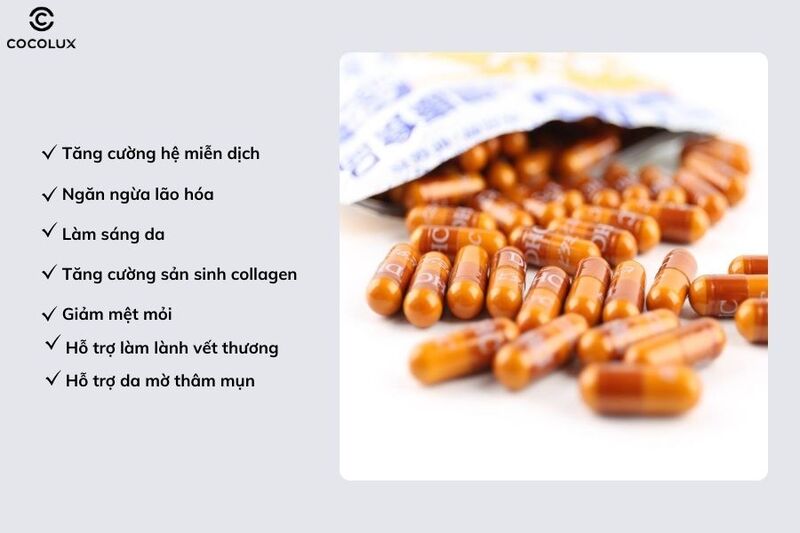 Công dụng của viên uống DHC Vitamin C Hard Capsules 30 ngày