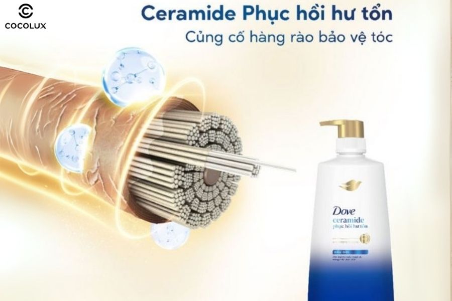 Dầu gội cho tóc uốn Dove Ceramide