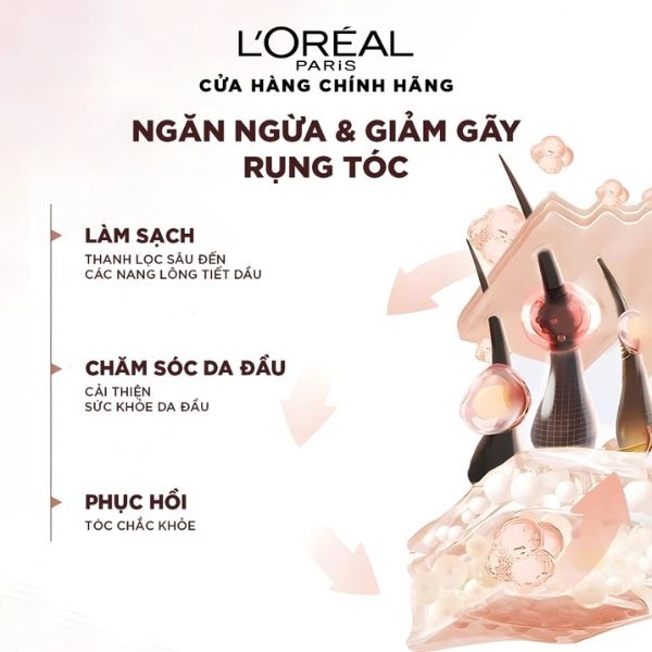 Dầu Gội Loreal Paris Full Resist Purifying Shampoo Giảm Rụng tóc 440ml