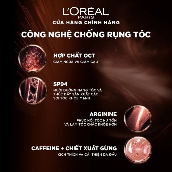 Dầu Gội Loreal Paris Full Resist Purifying Shampoo Giảm Rụng tóc 440ml