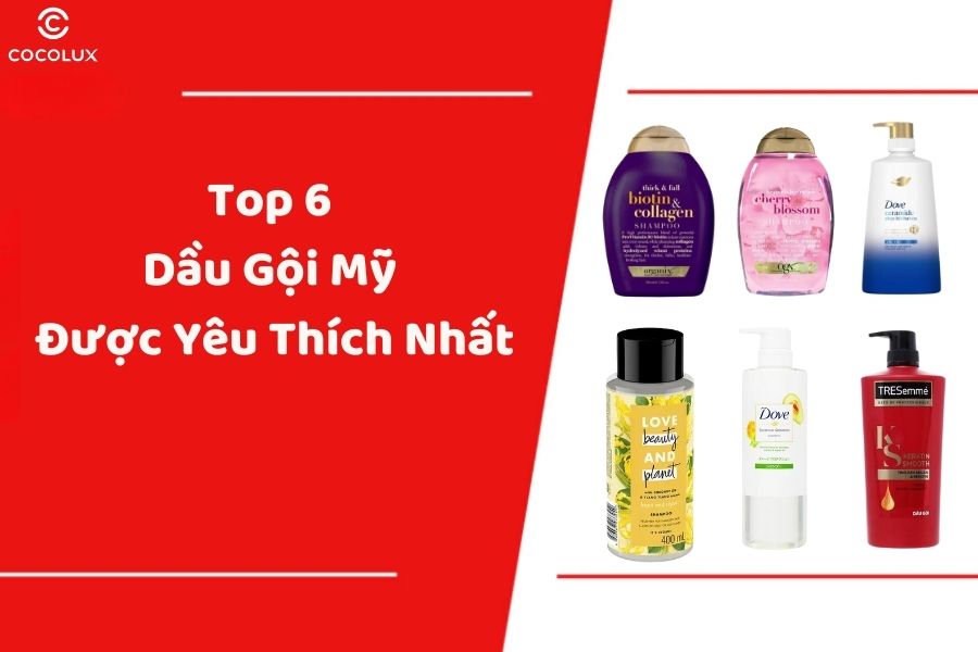 Top 6 dầu gội Mỹ tốt nhất 2025 - Review chi tiết