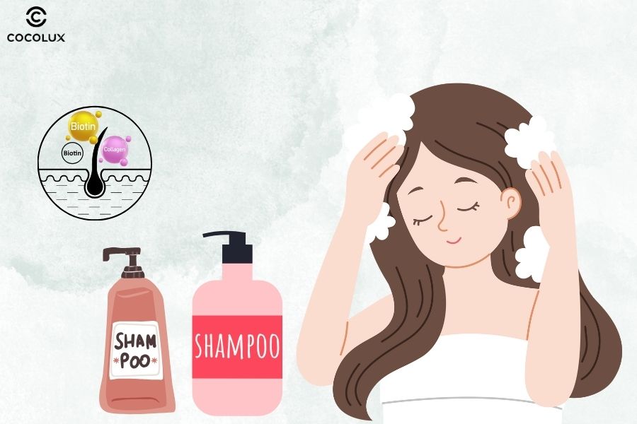 D&ugrave;ng dầu gội Biotin Collagen đ&uacute;ng c&aacute;ch sẽ gi&uacute;p sản phẩm ph&aacute;t huy tốt t&aacute;c dụng