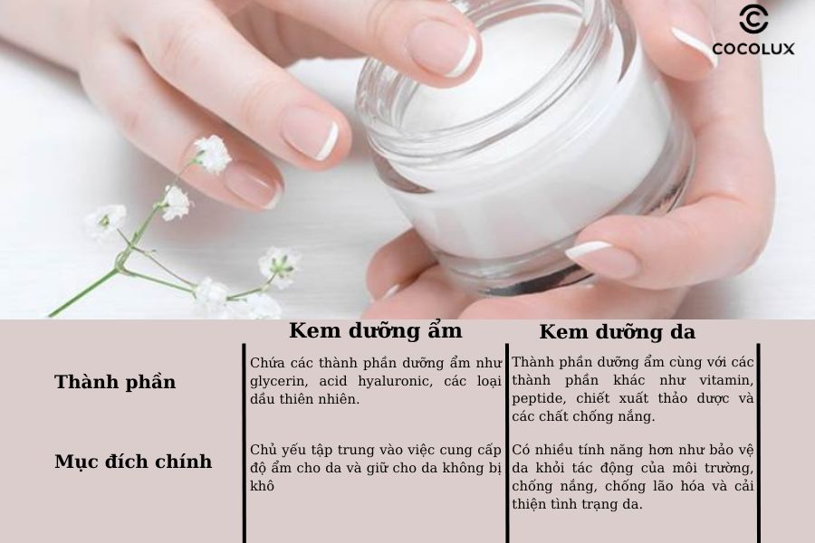 Kem dưỡng ẩm và kem dưỡng da  khác nhau thế nào