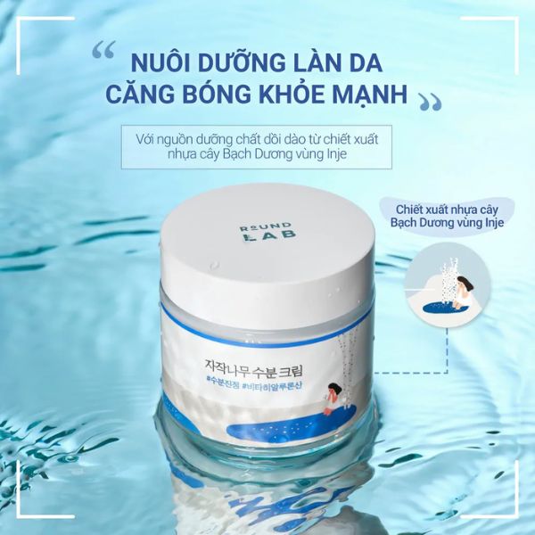 Kem Dưỡng Round Lab Birch Juice Moisturizing Cream 80ml