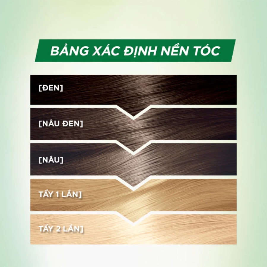 Kem Nhuộm Tóc Garnier Color Naturals Creme Riche Màu 6.26 Đỏ Mận (Gói)