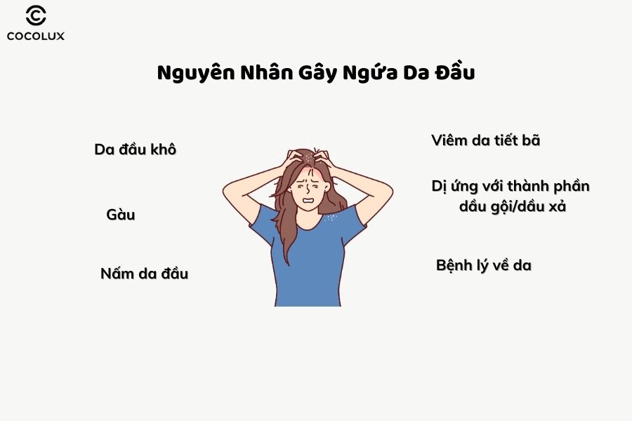 Một số nguyên nhân gây ngứa da đầu