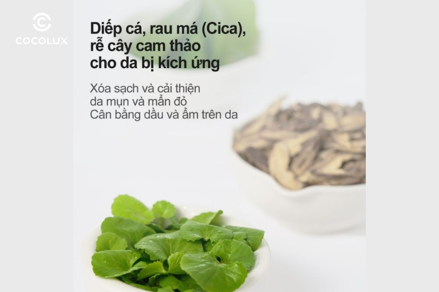 Th&agrave;nh phần của Numbuzin No.1 Pure-full Calming Herb Toner