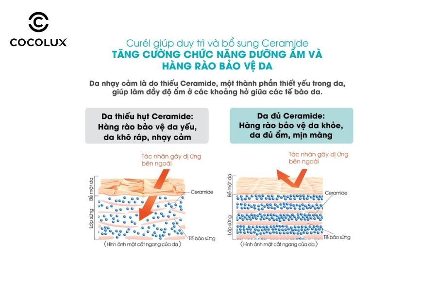 C&ocirc;ng dụng của Sữa Dưỡng Ẩm To&agrave;n Th&acirc;n Curel Intensive Moisture Care Moisture Milk