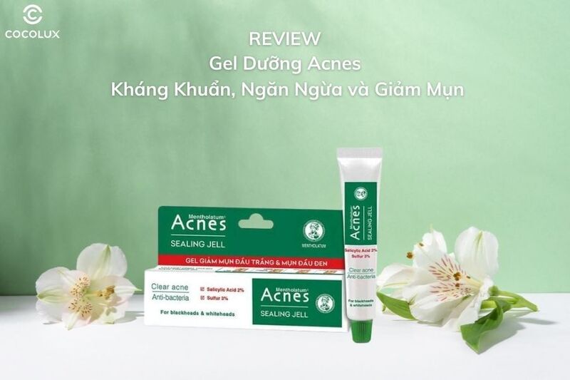 Review Gel Dưỡng Acnes Kháng Khuẩn, Ngăn Ngừa và Giảm Mụn