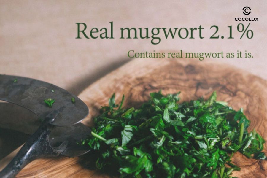 Ngải cứu l&agrave; th&agrave;nh phần ch&iacute;nh của Mặt Nạ I'm From L&agrave;m Dịu & Thải Độc Da Mugwort Mask
