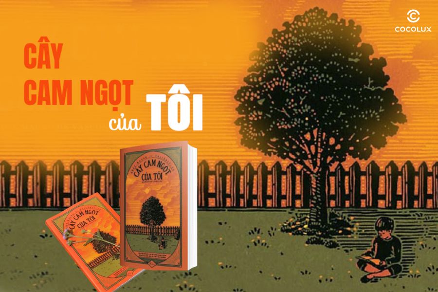 Ảnh cuốn sách "Cây cam ngọt của tôi" viết bởi nhà văn José Mauro de Vansconcelos