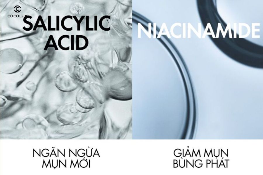 2 th&agrave;nh phần ch&iacute;nh của&nbsp;Kem Chống Nắng Vichy UV-Clear Anti-Imperfections D&agrave;nh Cho Da Dầu Mụn 40ml