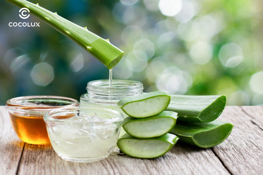 Ng&agrave;y nay, nha đam vẫn l&agrave; th&agrave;nh phần thường xuy&ecirc;n xuất hiện trong mỹ phẩm, đặc biệt l&agrave; mặt nạ giấy