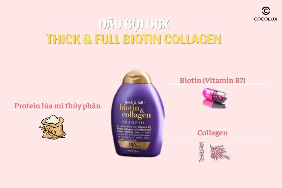 Thành phần chính của Dầu gội OGX Thick & Full Biotin Collagen