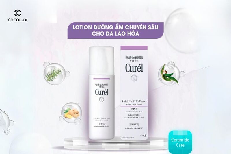 Thành phần nổi bật của  Lotion Curél Aging Care Series Moisture Facial Lotion Dưỡng Ẩm Chuyên Sâu Cho Da Lão Hóa 