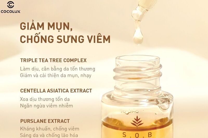Thành phần chính của tinh chất S.O.B Tea Tree Serum làm sáng da và giảm mụn 30ml