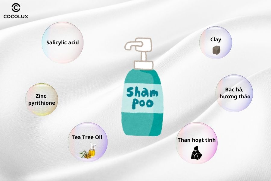 Th&agrave;nh phần n&ecirc;n c&oacute; trong dầu gội cho da dầu