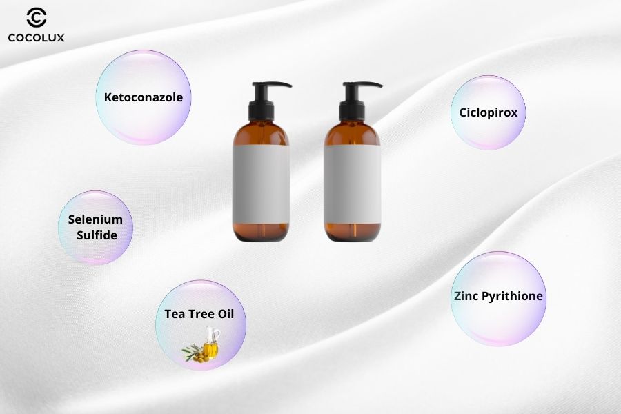 Một số th&agrave;nh phần ch&iacute;nh trong dầu gội trị nấm da đầu tốt nhất