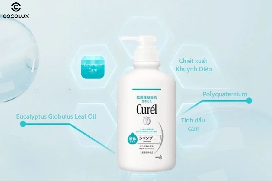 Thành phần chính của dầu gội Curel cấp ẩm chuyên sâu cho tóc và da đầu
