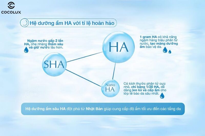 Th&agrave;nh phần ch&iacute;nh của dung dịch Hada Labo dưỡng ẩm tối ưu cho da dầu