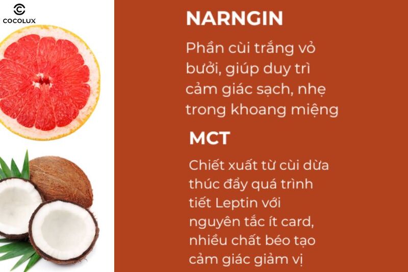 Thành phần chính của kem đánh răng hỗ trợ giảm cân Tasteless