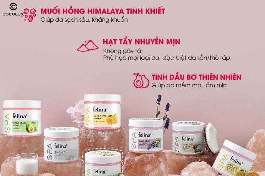 Thành phần chính của muối tắm tẩy da chết Felina