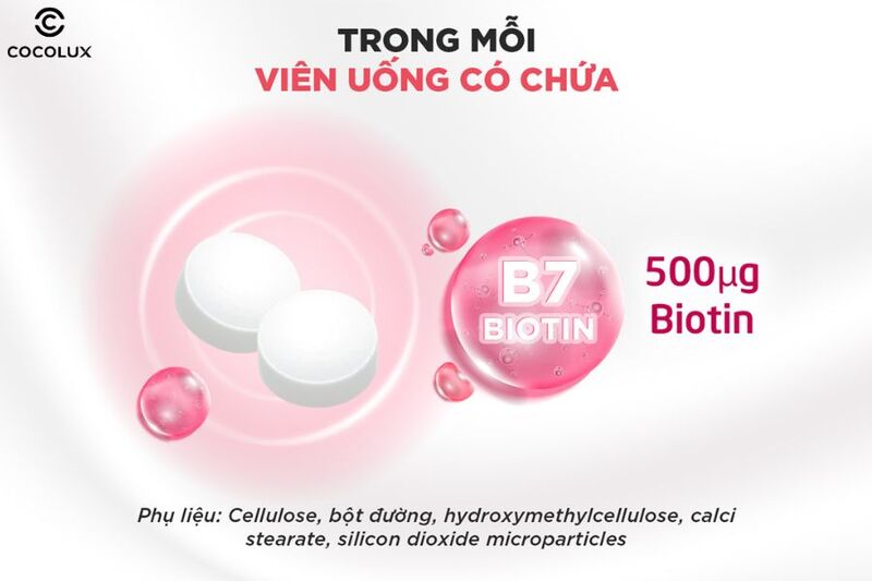 Thành phần chính của viên uống DHC Biotin ngăn rụng tóc