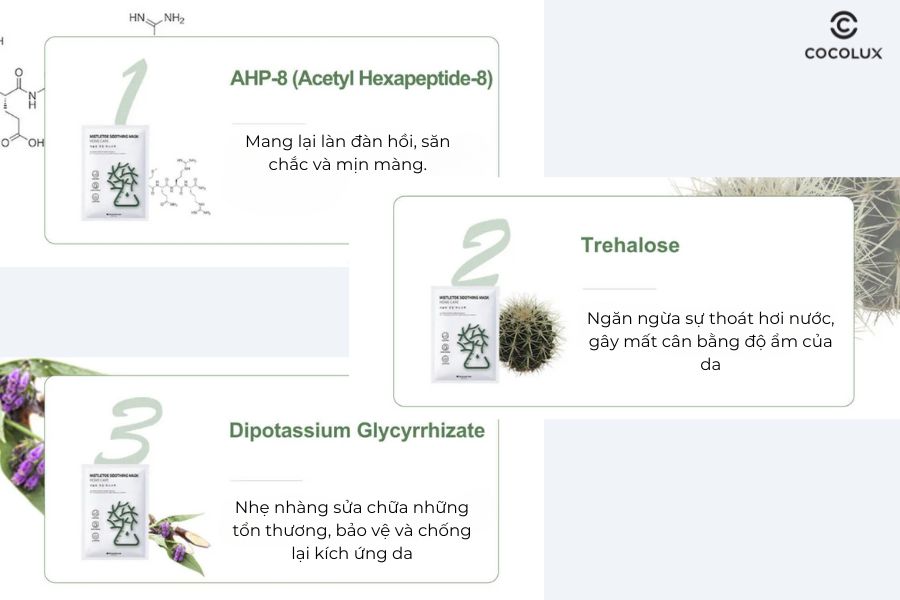 Th&agrave;nh phần Mặt nạ Dr. Sunmi Mistletoe Soothing Mask Home Care