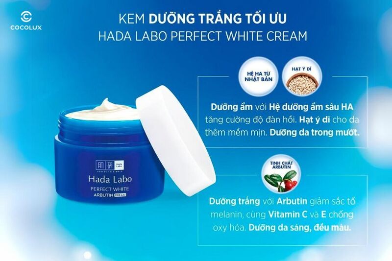 thành phần nổi bật của Kem Dưỡng Sáng Da Hada Labo Perfect White Arbutin Cream 50g