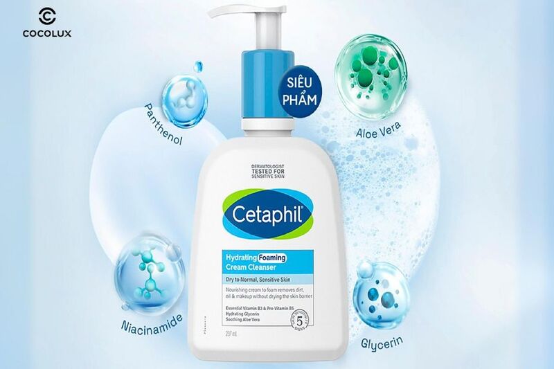 Th&agrave;nh phần nổi bật của Sữa Rửa Mặt Cetaphil Hydrating Foaming Cream Cleanser