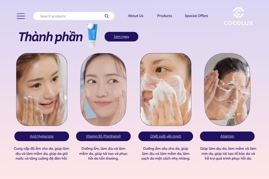 Thành phần chính của Sữa rửa mặt cấp ẩm phục hồi Bergamo Intensive Hyaluronic Acid Cleansing Foam
