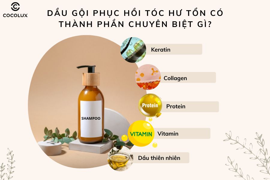 Thành phần chuyên biệt có trong dầu gội phục hồi tóc hư tổn