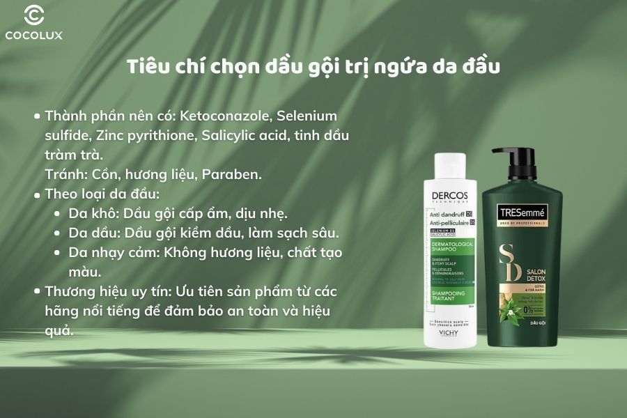 Một số tiêu chí chọn dầu gội trị ngứa da đầu hiệu quả