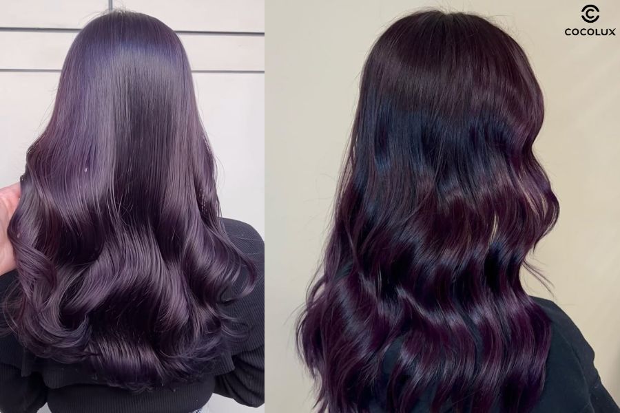 Lavender kết hợp nền tím đen giúp mái tóc vừa sang chảnh vừa dễ thương