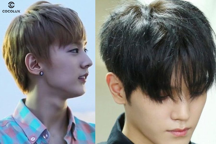 Nâu tây ánh rêu cá tính, ánh xanh nổi bật dưới nắng