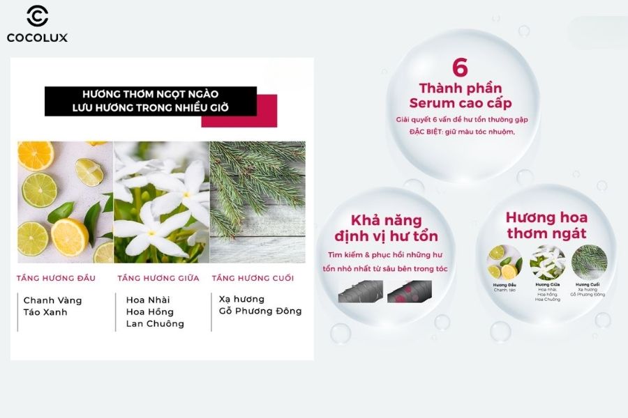 Hương thơm dễ chịu, lưu hương l&acirc;u v&agrave; th&agrave;nh phần l&agrave;nh t&iacute;nh l&agrave; hai ưu điểm nổi bật của ủ t&oacute;c Fino