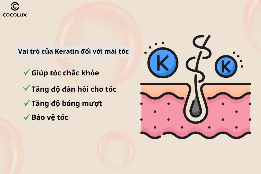 Một số vai trò của Keratin đối với mái tóc