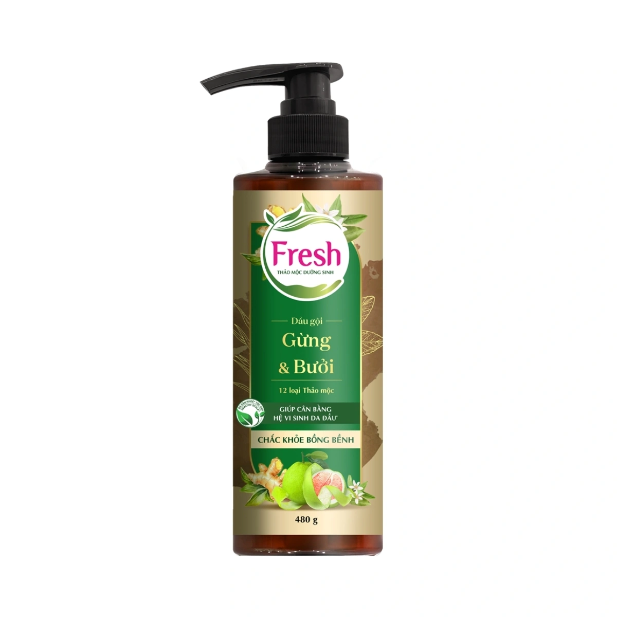 Dầu gội Fresh Thảo Mộc Dưỡng Sinh Chắc Khoẻ Bồng bềnh 480g